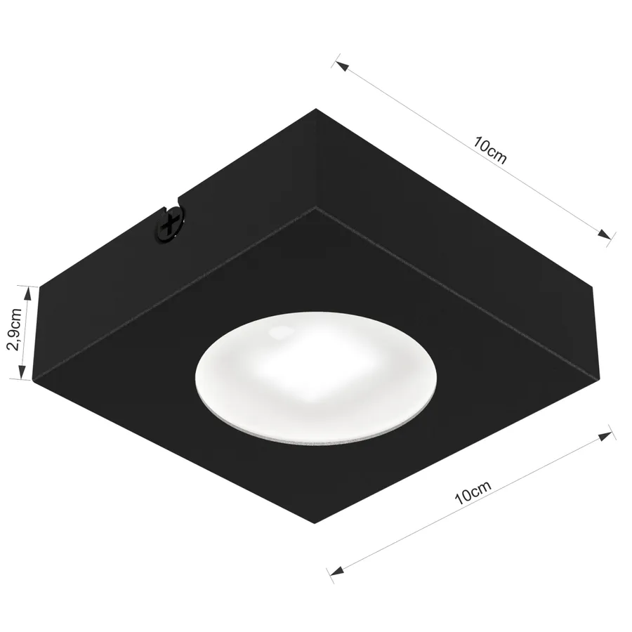 Eye