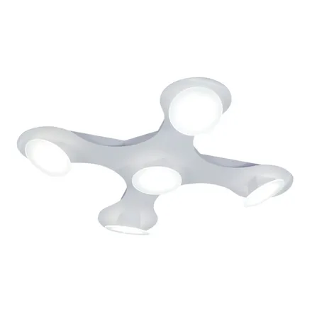 Dron