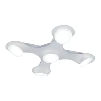 Dron