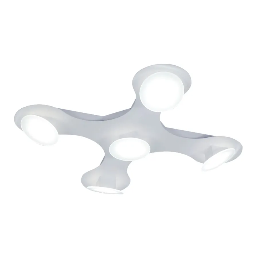 Dron